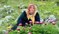 Şakayıklar çiçek açtı: Bu çiçeği koparmanın cezası yarım milyon
