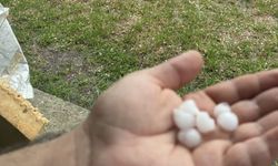 Hendek'te dolu yağdı: Çiftçiler endişeli