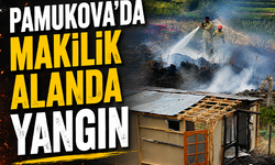 Pamukova'da makilik alanda yangın! 