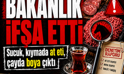 Sucuk, kıymada at eti, çayda boya çıktı…Bakanlık ifşa etti