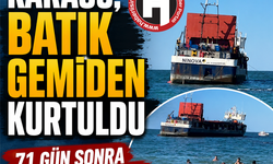 Karasu batık gemiden kurtuldu... 71 gün sonra hareket etti