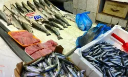 Hamsi ve istavrit 200 TL’den tezgahta