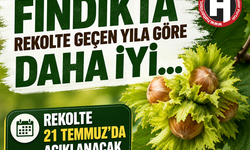 Fındıkta rekolte geçen yıla göre daha iyi… Rekolte 21 Temmuz’da açıklanacak