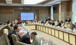 TBMM Komisyonu öğrenci affını ele aldı