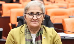 Ayça Taşkent: Fındık üreticisi hasat öncesi belirsizlik içinde