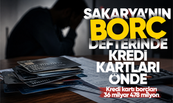Sakarya’nın borç defterinde kredi kartları önde… Kredi kartı borçları 36 milyar 478 milyon