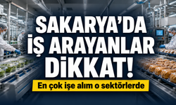 Sakarya'da iş arayanlar dikkat! En çok personel arayan sektörler