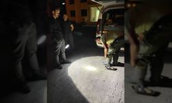 Kaçak hayvan sevkiyatına 230 bin TL ceza