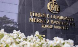 Elektronik para ve ödeme hesapları e-Devlet'ten sorgulanabilecek