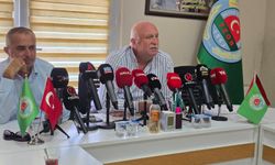 Sakarya’nın fındık rekoltesi açıklandı… 89 bin 261 ton