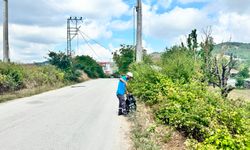 Serdivan'da yol kenarları temizlendi