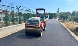 Serdivan'da Sahipsiz Hayvanlar Bakımevi yolunda asfalt çalışmaları tamamlandı
