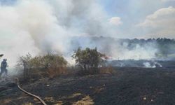 30 dönümlük buğday tarlası küle döndü