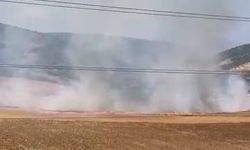 Tarlayı ateşe veren şüpheli yakalandı
