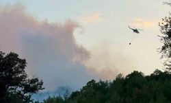 Balıkesir'de orman yangını...Helikopterle müdahale sürüyor