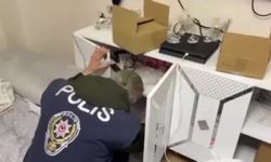 Sakarya'da yasa dışı bahis ve dolandırıcılık operasyonu