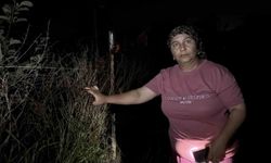 Mahallelinin gece nöbeti devam ediyor! Fenerlerle sokak sokak arıyorlar