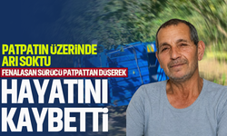 Patpatın üzerinde arı soktu, fenalaşan sürücü hayatını kaybetti