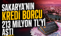 Sakarya’nın kredi borcu 213 milyon TL’yi aştı