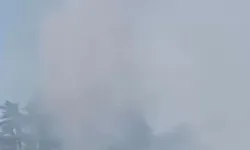 Düzce'de orman yangını!