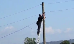 Canını hiçe sayarak elektrik direğine çıktı