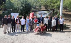 Erenler'de fındık hasadı şenliği gerçekleşti