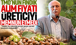 TMO'nun fındık alım fiyatı üreticiyi memnun etmedi