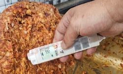 Son kullanma tarihi 8 ay geçen peynir ve bozuk kıymaları vatandaşa yedireceklerdi! İki işletmeye toplam 79 bin TL ceza