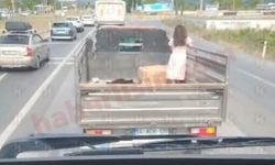 Bu nasıl bir sorumsuzluk? Küçük çocuğun kamyonet kasasındaki tehlikeli yolculuğu