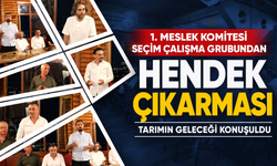 1. Meslek Komitesi seçim çalışma grubundan Hendek çıkarması: Tarımın geleceği konuşuldu