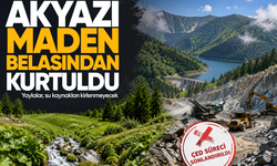 Akyazı maden belasından kurtuldu... Yaylalar, su kaynakları kirlenmeyecek, ÇED süreci sonlandırıldı