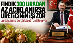 Fındık 300 liradan az açıklanırsa üreticinin işi zor
