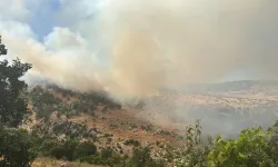 Ormanlık alanda çıkan yangın kontrol altına alındı