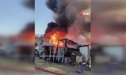 Çiftlik alev alev yandı
