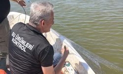 Sakarya’da kaçak avcılığa darbe... 22 bin metrekare ağ toplandı, 31 av aracına el konuldu