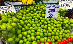 Erik fiyatını ikiye katladı