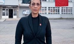 CHP'nin il başkanı belli oldu! Bu atama da Serdivan teşkilatından