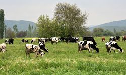 Merayı imara açan karar bakanlıkta... Birinci sınıf tarım arazisinin imara açılmasına tepki