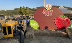 Pamukova’da Çilek Festival bu görüntüler ile başladı… 3 gün sürecek