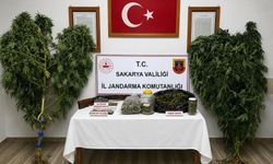 İki ilçede jandarmadan kaçakçılık ve uyuşturucu operasyonu