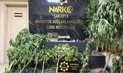 Sapanca’da zehir tacirlerine operasyon! 2 şüpheli yakalandı