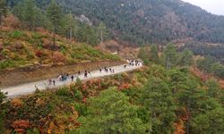 Sonbahar Doğa Yürüyüşleri başlıyor