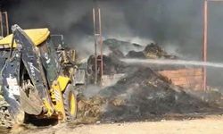 Çiftlikte çıkan yangında 15 küçükbaş hayvan telef oldu