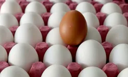 Yumurtada bu işareti görürseniz sakın almayın!