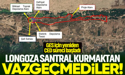 Longoza santral kurmaktan vazgeçmediler... Acarlar Longozunda yapılacak GES için yeniden ÇED süreci başladı
