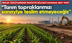 Meslek örgütlerinden "Endüstri Bölgesi" kararına sert tepki: "Tarım topraklarımızı sanayiye teslim etmeyeceğiz"
