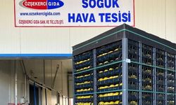 Fahiş fiyat operasyonunda Sakarya detayı