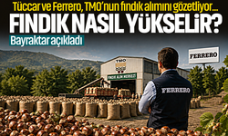 Tüccar ve Ferrero, TMO’nun fındık alımını gözetliyor... Fındık nasıl yükselir? Bayraktar açıkladı