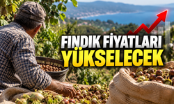 Fındık fiyatları yükselecek