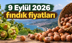 9 Eylül 2026 serbest piyasa fındık fiyatları : Giresun, Ordu, Sakarya, Samsun, Trabzon, Düzce güncel fındık fiyatları...